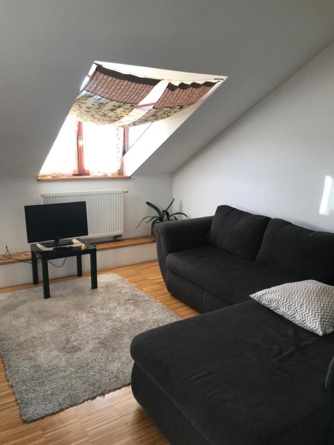 Apartman Slovinska 28 Бърно Екстериор снимка