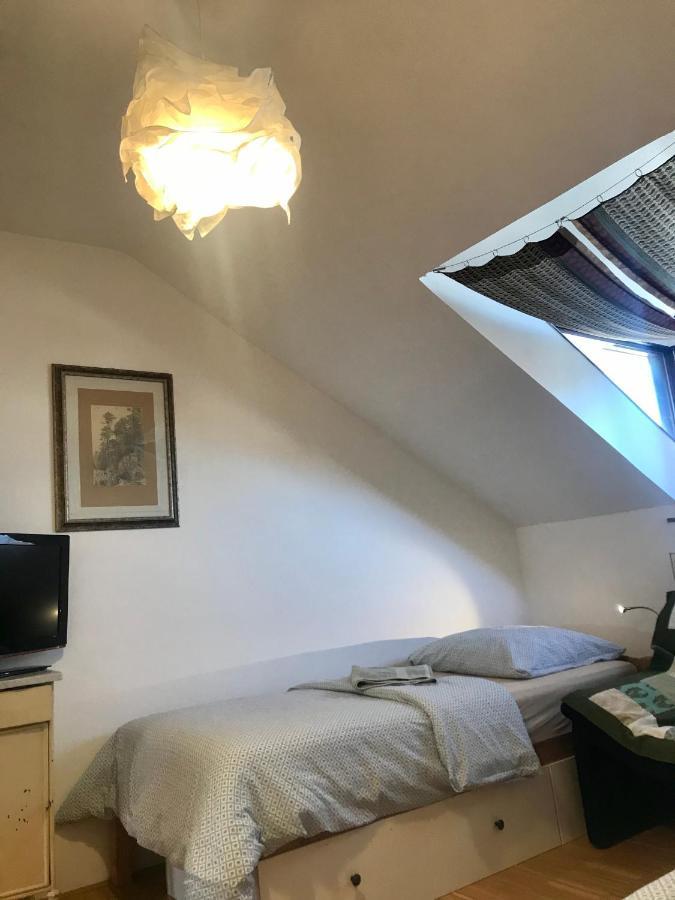 Apartman Slovinska 28 Бърно Екстериор снимка