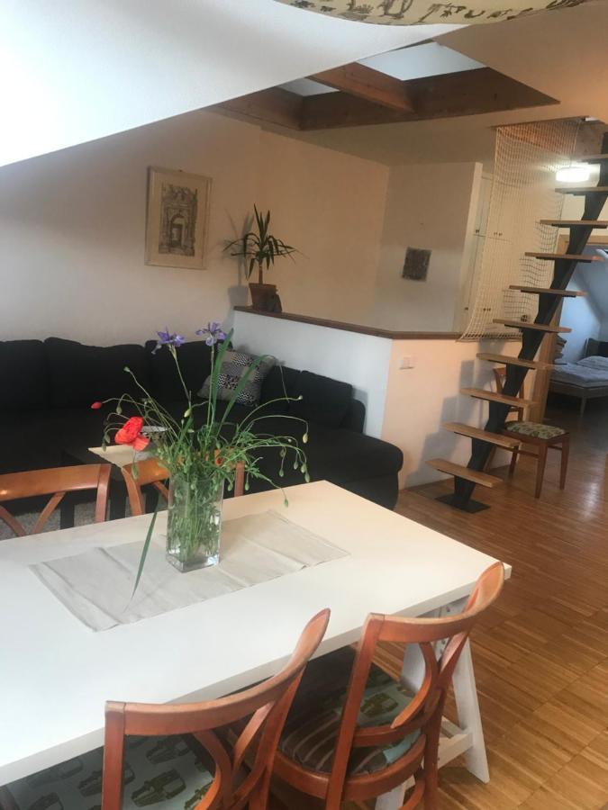 Apartman Slovinska 28 Бърно Екстериор снимка