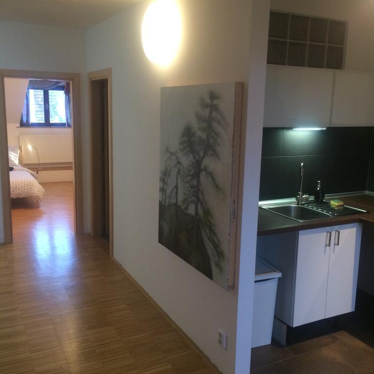 Apartman Slovinska 28 Бърно Екстериор снимка