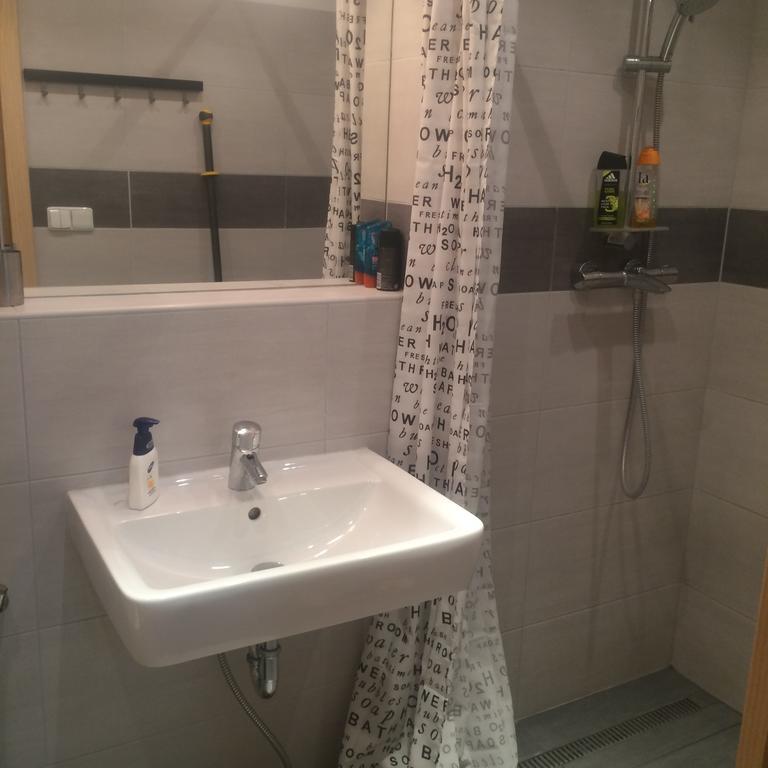 Apartman Slovinska 28 Бърно Екстериор снимка