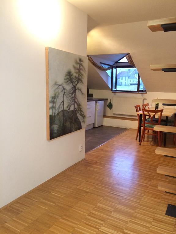 Apartman Slovinska 28 Бърно Екстериор снимка